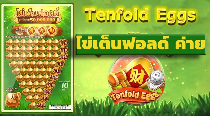 ไข่เต็นฟอลด์ ค่าย