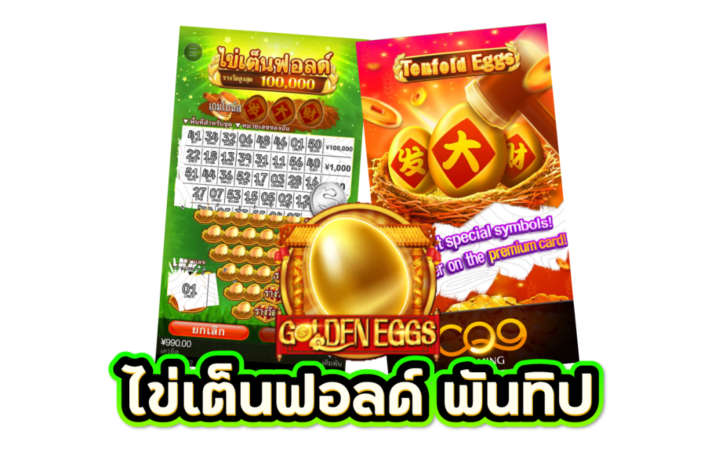 ไข่เต็นฟอลด์ พันทิป